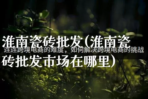 淮南瓷砖批发(淮南瓷砖批发市场在哪里)_https://www.rzcpcj.com_代运营_第1张