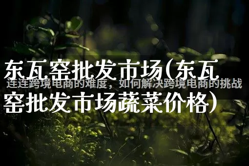 东瓦窑批发市场(东瓦窑批发市场蔬菜价格)_https://www.rzcpcj.com_天猫运营_第1张