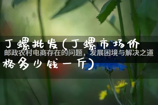 丁螺批发(丁螺市场价格多少钱一斤)_https://www.rzcpcj.com_直通车_第1张