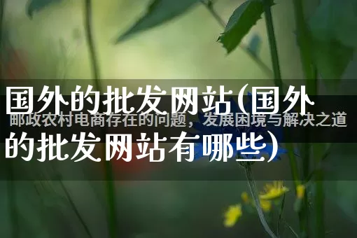 国外的批发网站(国外的批发网站有哪些)_https://www.rzcpcj.com_淘宝运营_第1张