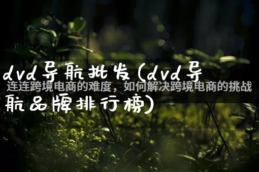 dvd导航批发(dvd导航品牌排行榜)_https://www.rzcpcj.com_抖音快手_第1张