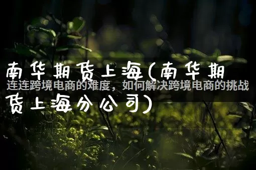 南华期货上海(南华期货上海分公司)_https://www.rzcpcj.com_开网店_第1张