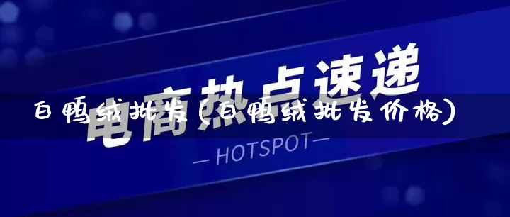 白鸭绒批发(白鸭绒批发价格)_https://www.rzcpcj.com_代运营_第1张