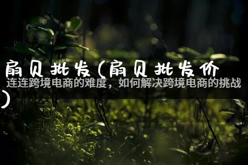 扇贝批发(扇贝批发价)_https://www.rzcpcj.com_代运营_第1张