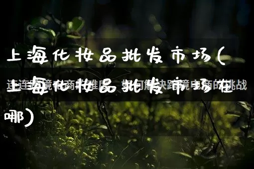 上海化妆品批发市场(上海化妆品批发市场在哪)_https://www.rzcpcj.com_代运营_第1张