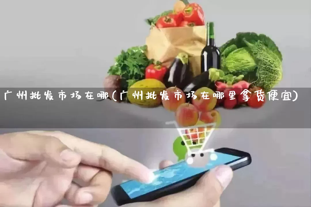 广州批发市场在哪(广州批发市场在哪里拿货便宜)_https://www.rzcpcj.com_抖音快手_第1张