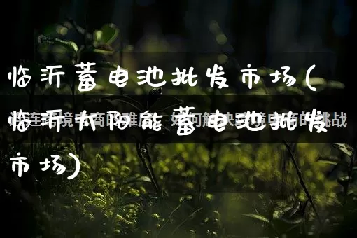 临沂蓄电池批发市场(临沂太阳能蓄电池批发市场)_https://www.rzcpcj.com_开网店_第1张