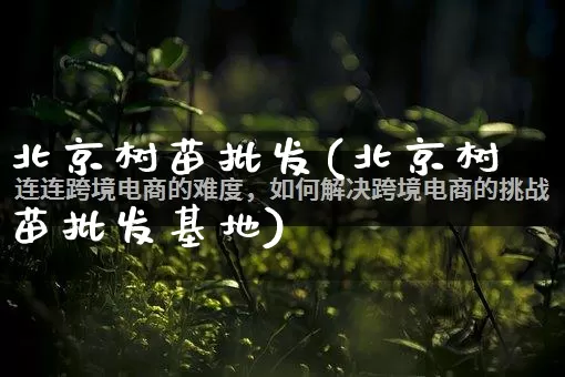 北京树苗批发(北京树苗批发基地)_https://www.rzcpcj.com_抖音快手_第1张