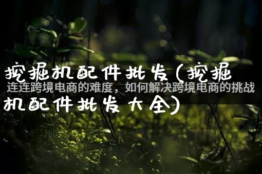 挖掘机配件批发(挖掘机配件批发大全)_https://www.rzcpcj.com_直通车_第1张
