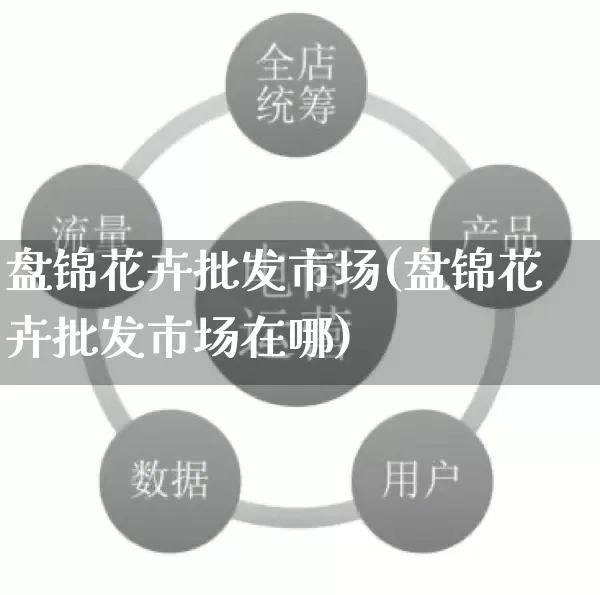 盘锦花卉批发市场(盘锦花卉批发市场在哪)_https://www.rzcpcj.com_淘宝运营_第1张