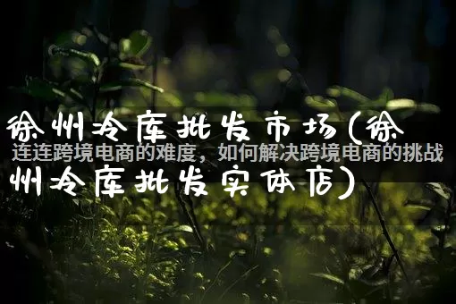徐州冷库批发市场(徐州冷库批发实体店)_https://www.rzcpcj.com_抖音快手_第1张