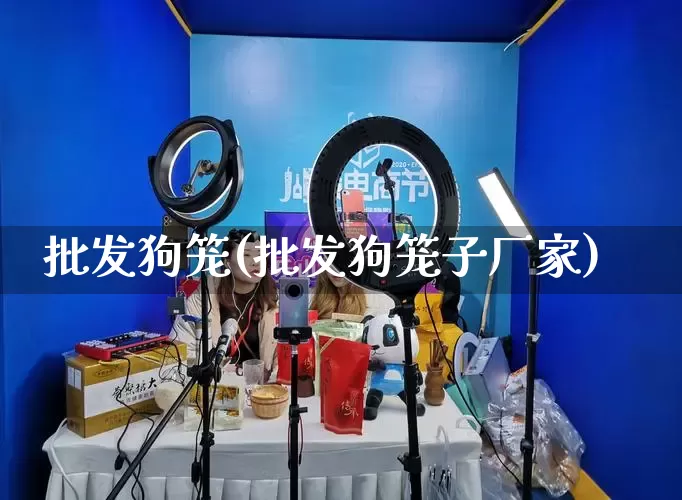 批发狗笼(批发狗笼子厂家)_https://www.rzcpcj.com_淘宝运营_第1张