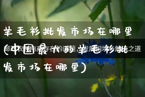 羊毛衫批发市场在哪里(中国最大的羊毛衫批发市场在哪里)_https://www.rzcpcj.com_淘宝运营_第1张
