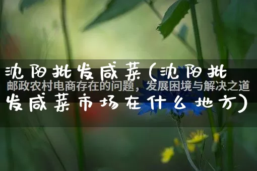 沈阳批发咸菜(沈阳批发咸菜市场在什么地方)_https://www.rzcpcj.com_淘宝运营_第1张