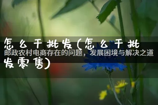 怎么干批发(怎么干批发零售)_https://www.rzcpcj.com_天猫运营_第1张