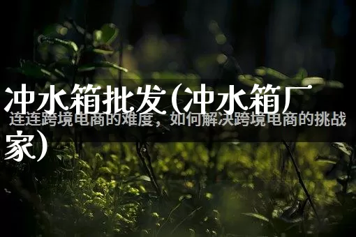 冲水箱批发(冲水箱厂家)_https://www.rzcpcj.com_代运营_第1张