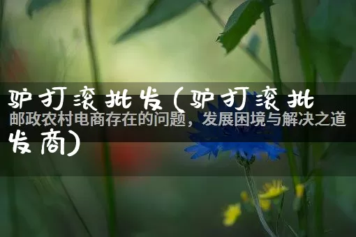 驴打滚批发(驴打滚批发商)_https://www.rzcpcj.com_直通车_第1张