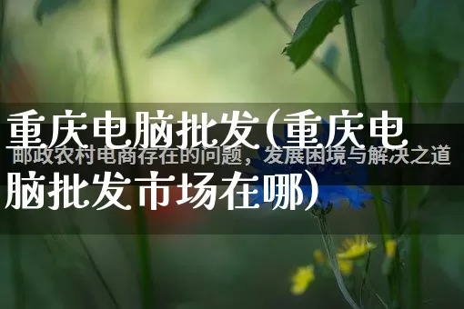 重庆电脑批发(重庆电脑批发市场在哪)_https://www.rzcpcj.com_天猫运营_第1张