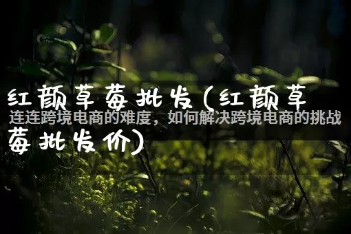 红颜草莓批发(红颜草莓批发价)_https://www.rzcpcj.com_代运营_第1张