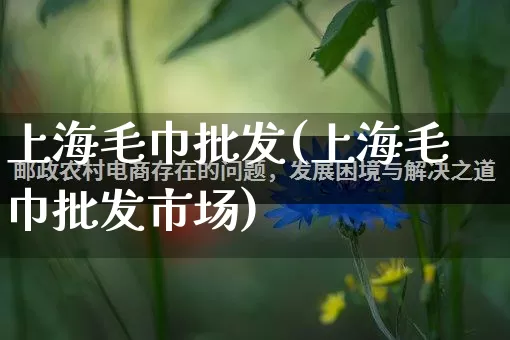 上海毛巾批发(上海毛巾批发市场)_https://www.rzcpcj.com_抖音快手_第1张