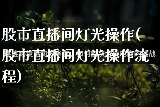 股市直播间灯光操作(股市直播间灯光操作流程)_https://www.rzcpcj.com_开网店_第1张