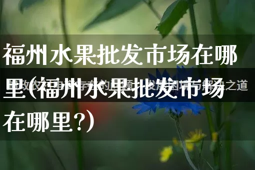 福州水果批发市场在哪里(福州水果批发市场在哪里?)_https://www.rzcpcj.com_淘宝运营_第1张