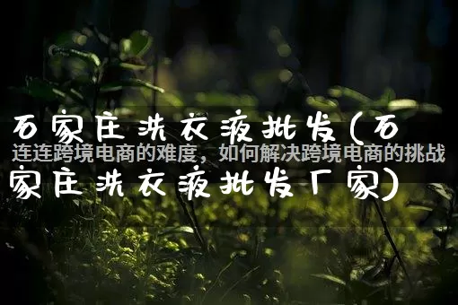 石家庄洗衣液批发(石家庄洗衣液批发厂家)_https://www.rzcpcj.com_代运营_第1张
