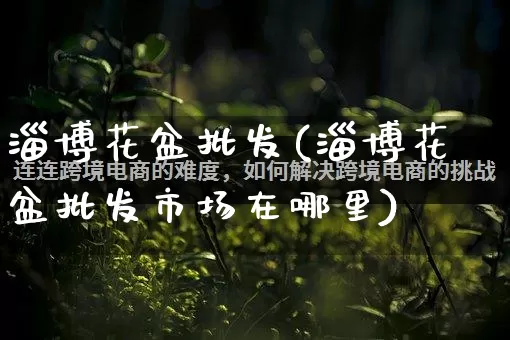 淄博花盆批发(淄博花盆批发市场在哪里)_https://www.rzcpcj.com_抖音快手_第1张