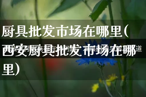 厨具批发市场在哪里(西安厨具批发市场在哪里)_https://www.rzcpcj.com_代运营_第1张