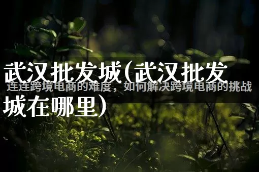 武汉批发城(武汉批发城在哪里)_https://www.rzcpcj.com_抖音快手_第1张