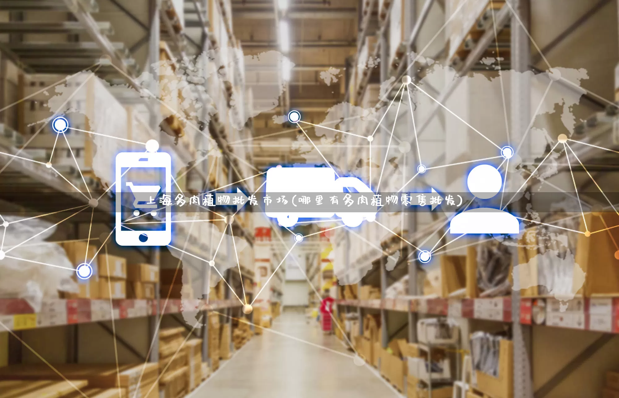 上海多肉植物批发市场(哪里有多肉植物零售批发)_https://www.rzcpcj.com_天猫运营_第1张