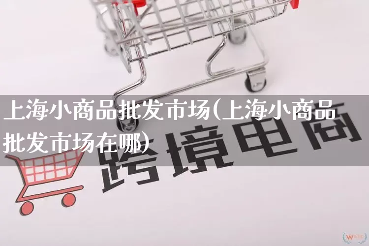 上海小商品批发市场(上海小商品批发市场在哪)_https://www.rzcpcj.com_天猫运营_第1张