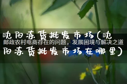 沈阳冻货批发市场(沈阳冻货批发市场在哪里)_https://www.rzcpcj.com_淘宝运营_第1张