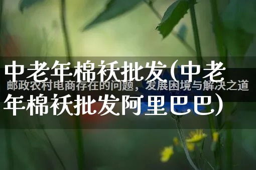中老年棉袄批发(中老年棉袄批发阿里巴巴)_https://www.rzcpcj.com_天猫运营_第1张