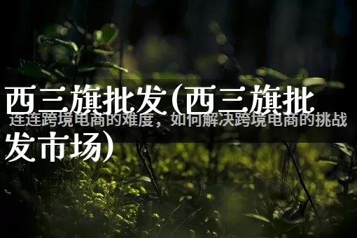西三旗批发(西三旗批发市场)_https://www.rzcpcj.com_抖音快手_第1张