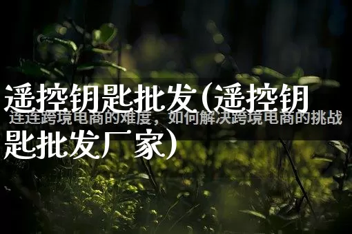 遥控钥匙批发(遥控钥匙批发厂家)_https://www.rzcpcj.com_开网店_第1张