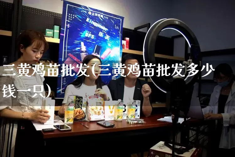 三黄鸡苗批发(三黄鸡苗批发多少钱一只)_https://www.rzcpcj.com_天猫运营_第1张