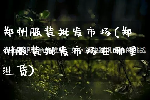 郑州服装批发市场(郑州服装批发市场在哪里进货)_https://www.rzcpcj.com_开网店_第1张