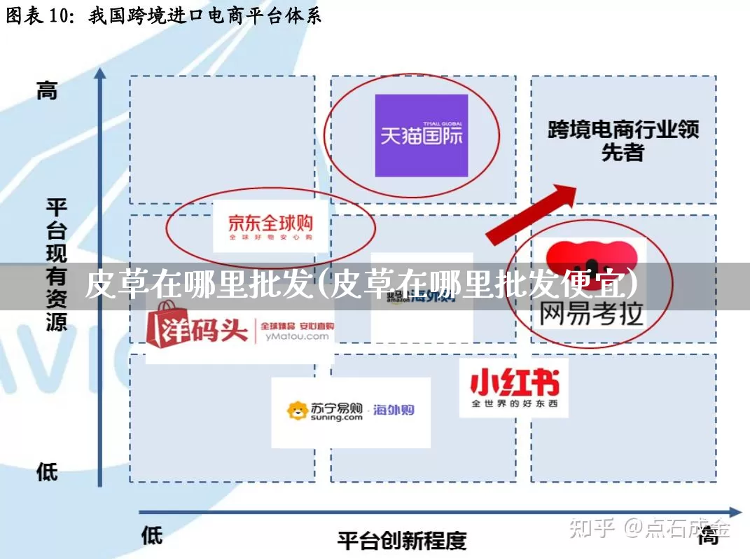皮草在哪里批发(皮草在哪里批发便宜)_https://www.rzcpcj.com_淘宝运营_第1张
