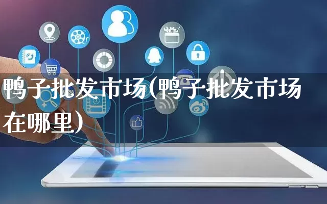 鸭子批发市场(鸭子批发市场在哪里)_https://www.rzcpcj.com_天猫运营_第1张