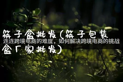 筷子盒批发(筷子包装盒厂家批发)_https://www.rzcpcj.com_代运营_第1张