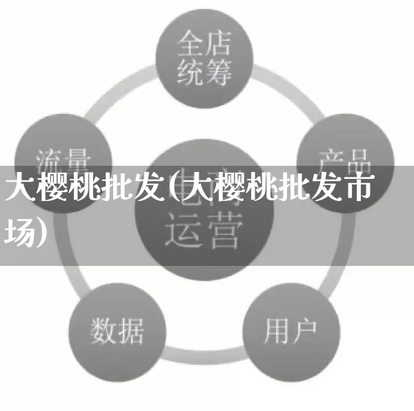 大樱桃批发(大樱桃批发市场)_https://www.rzcpcj.com_淘宝运营_第1张