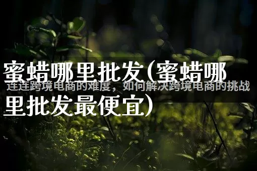 蜜蜡哪里批发(蜜蜡哪里批发最便宜)_https://www.rzcpcj.com_代运营_第1张
