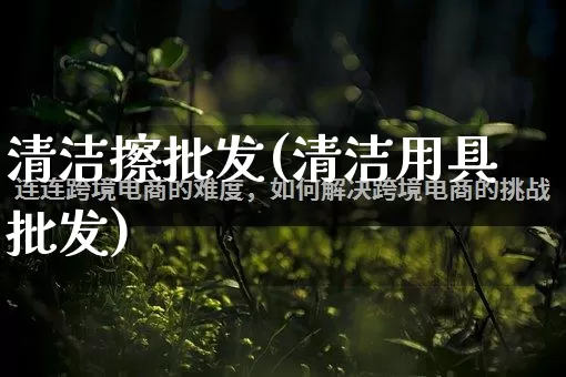 清洁擦批发(清洁用具批发)_https://www.rzcpcj.com_抖音快手_第1张