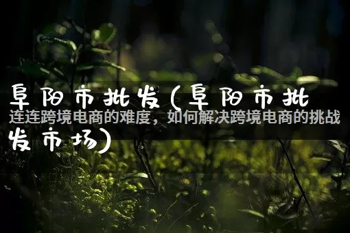 阜阳市批发(阜阳市批发市场)_https://www.rzcpcj.com_抖音快手_第1张