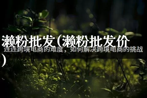 濑粉批发(濑粉批发价)_https://www.rzcpcj.com_天猫运营_第1张
