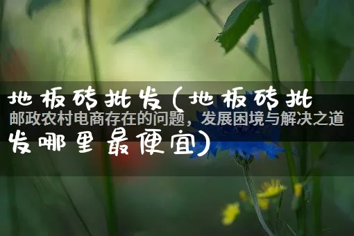 地板砖批发(地板砖批发哪里最便宜)_https://www.rzcpcj.com_天猫运营_第1张