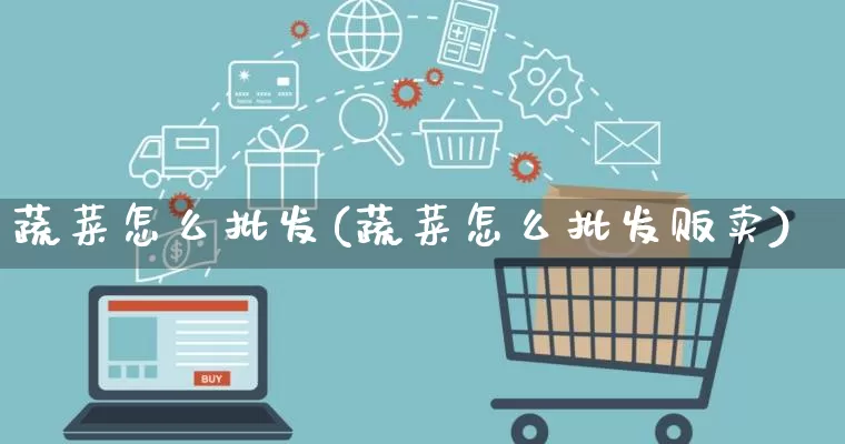 蔬菜怎么批发(蔬菜怎么批发贩卖)_https://www.rzcpcj.com_淘宝运营_第1张