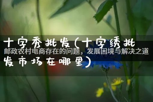 十字秀批发(十字绣批发市场在哪里)_https://www.rzcpcj.com_抖音快手_第1张