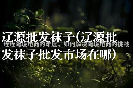 辽源批发袜子(辽源批发袜子批发市场在哪)_https://www.rzcpcj.com_天猫运营_第1张